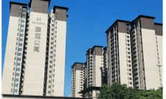 <strong>房产具备强劲的保</strong>