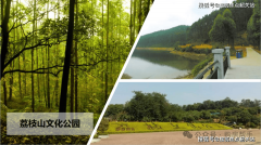 <strong>项目建建质量合适</strong>