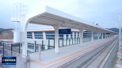 <strong>油桐花制型吊顶、</strong>